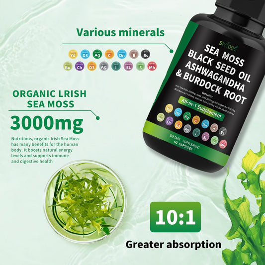 "Sea Moss capsules next to raw Irish sea moss – rich in iodine, zinc, and antioxidants."