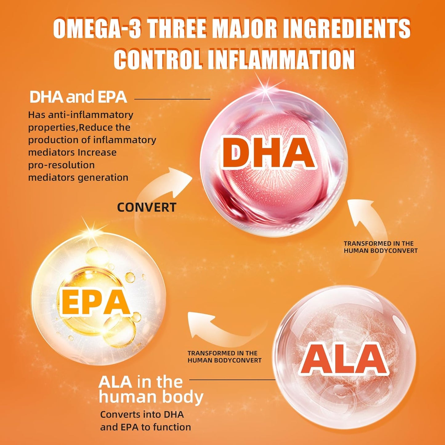 Omega-3 dietary supplement made from wild-caught fish – promotes cardiovascular and cognitive function.