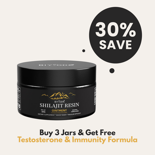 Wellness Nest Shilajit: Your Complete Guide to Natural Health