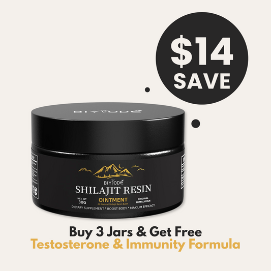 The Complete Guide to Shilajit: Nature's Powerful Health Supplement