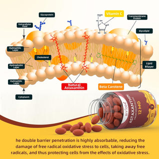 Astaxanthin 12mg Softgels