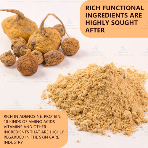Maca Gummies - Delicious Organic Maca Root Gummy