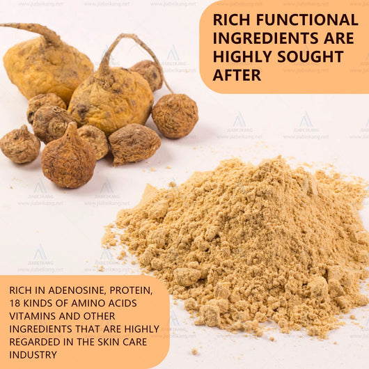 Maca Gummies - Delicious Organic Maca Root Gummy