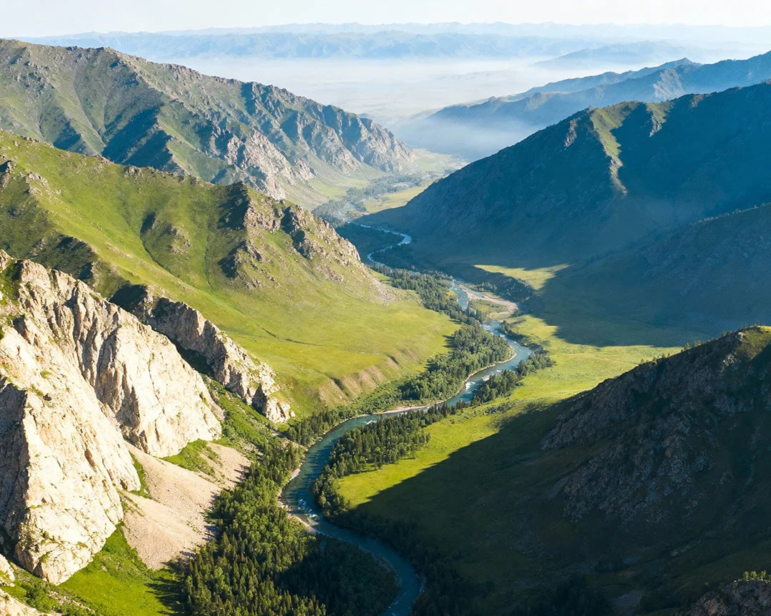 Benefits illustration