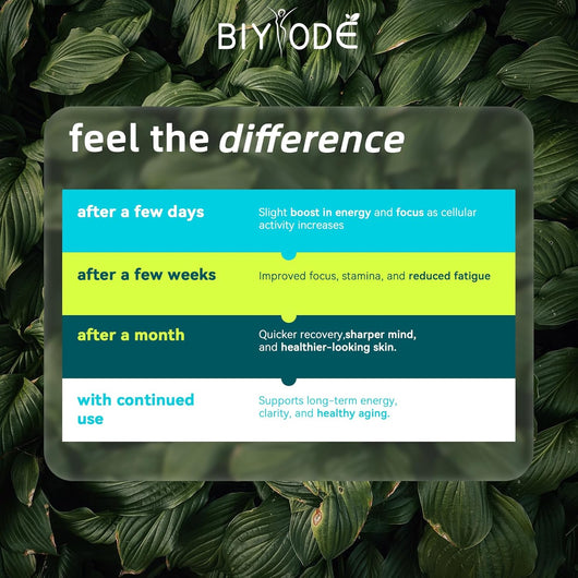 NAD+ with Resveratrol Wellness Product