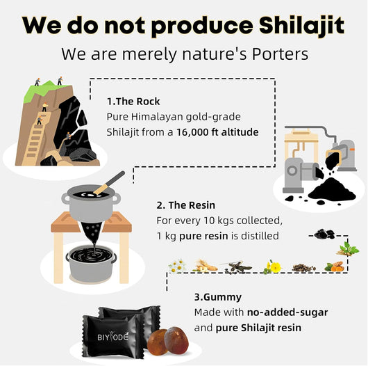 Natural Shilajit Gummies Easy Daily Use