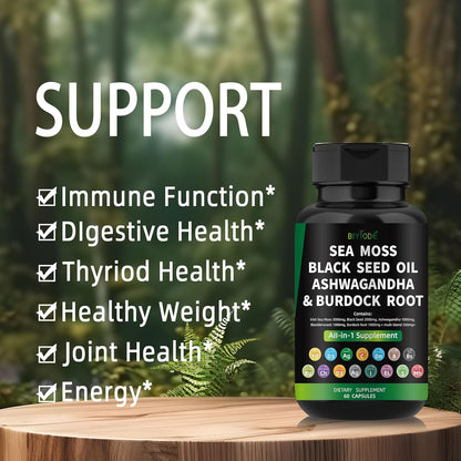 Organic Sea Moss Capsules with Bladder wrack & Burdock for full-body wellness. Supports digestion, thyroid, and immune health.

