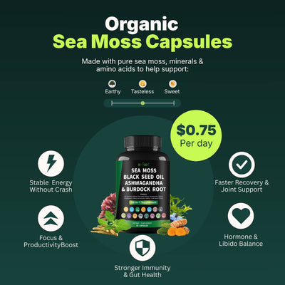 Organic Sea Moss Capsules Supplement Bottle