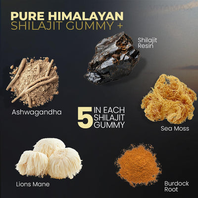 Pure Shilajit Resin from the Himalayas – natural wellness and vitality enhancer in premium packaging
