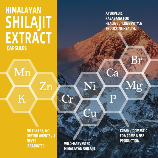 Pure Natural Himalayan Shilajit Capsules With Ashwagandha Ginseng Healthcare Vitamin 8-in-1 Energy Supplement
